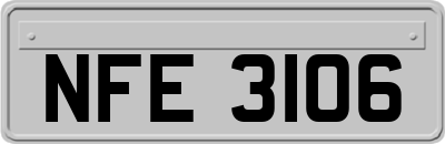 NFE3106