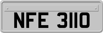 NFE3110