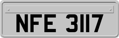 NFE3117