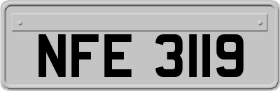 NFE3119