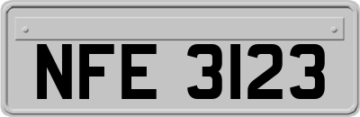 NFE3123