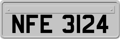 NFE3124