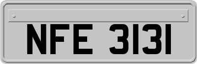 NFE3131