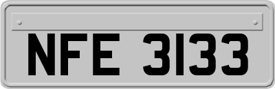 NFE3133