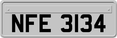 NFE3134