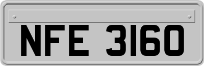 NFE3160