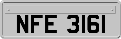 NFE3161