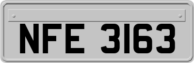 NFE3163