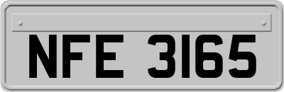 NFE3165