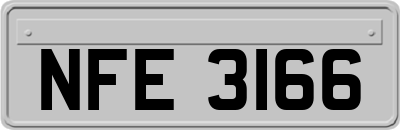 NFE3166