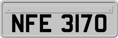 NFE3170