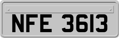 NFE3613