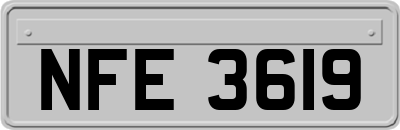 NFE3619