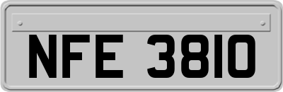 NFE3810
