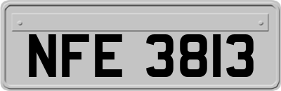 NFE3813