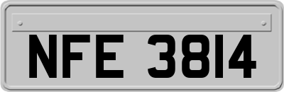 NFE3814