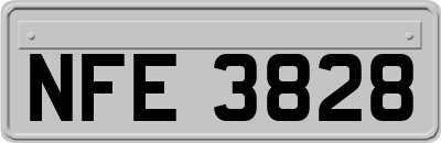 NFE3828