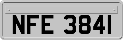 NFE3841