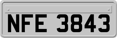 NFE3843