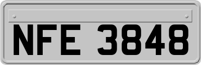 NFE3848