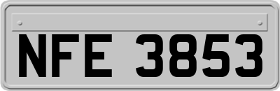 NFE3853