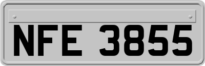 NFE3855