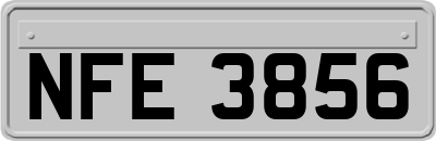 NFE3856