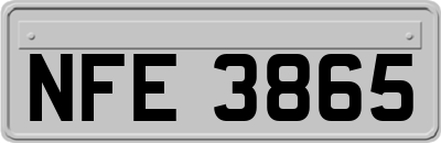NFE3865
