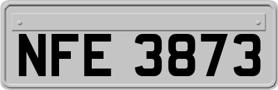 NFE3873