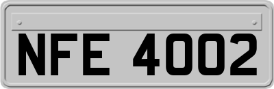 NFE4002