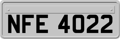 NFE4022