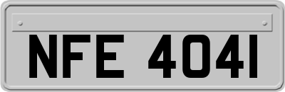 NFE4041