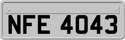 NFE4043
