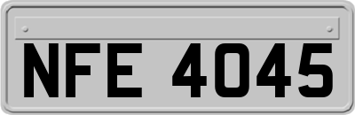 NFE4045