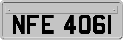 NFE4061