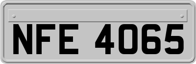 NFE4065