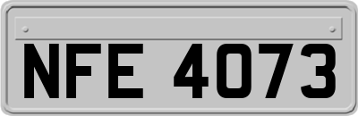 NFE4073