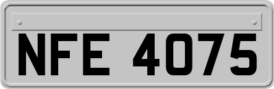 NFE4075