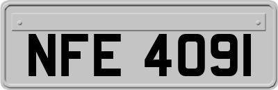NFE4091