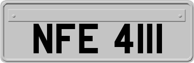 NFE4111