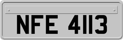 NFE4113