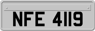 NFE4119