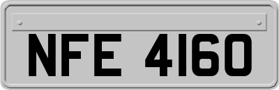 NFE4160
