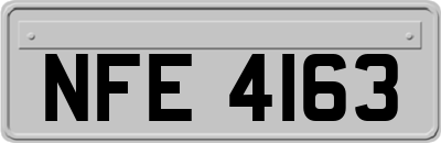NFE4163