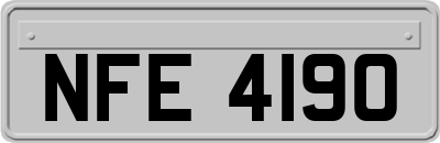NFE4190