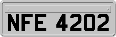 NFE4202