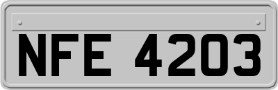 NFE4203