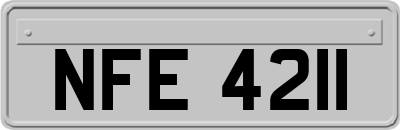 NFE4211