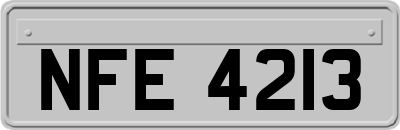 NFE4213