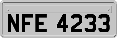 NFE4233